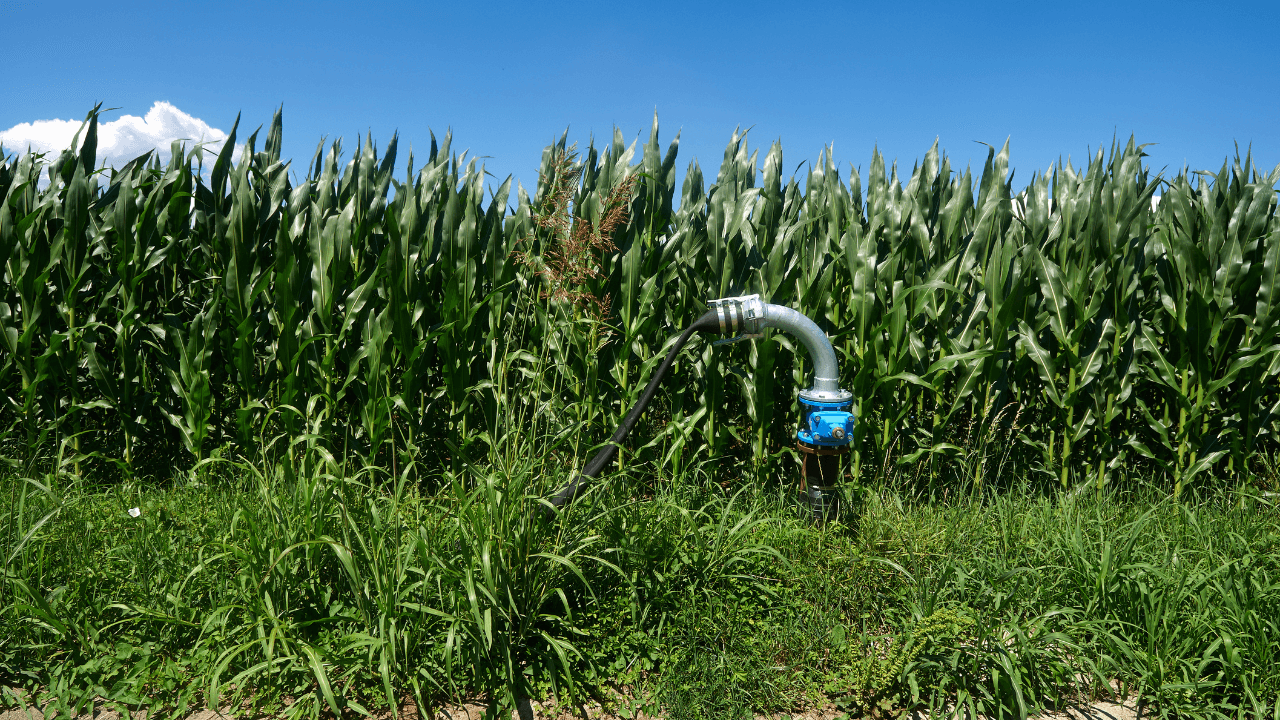 Recarga gestionada de acuíferos