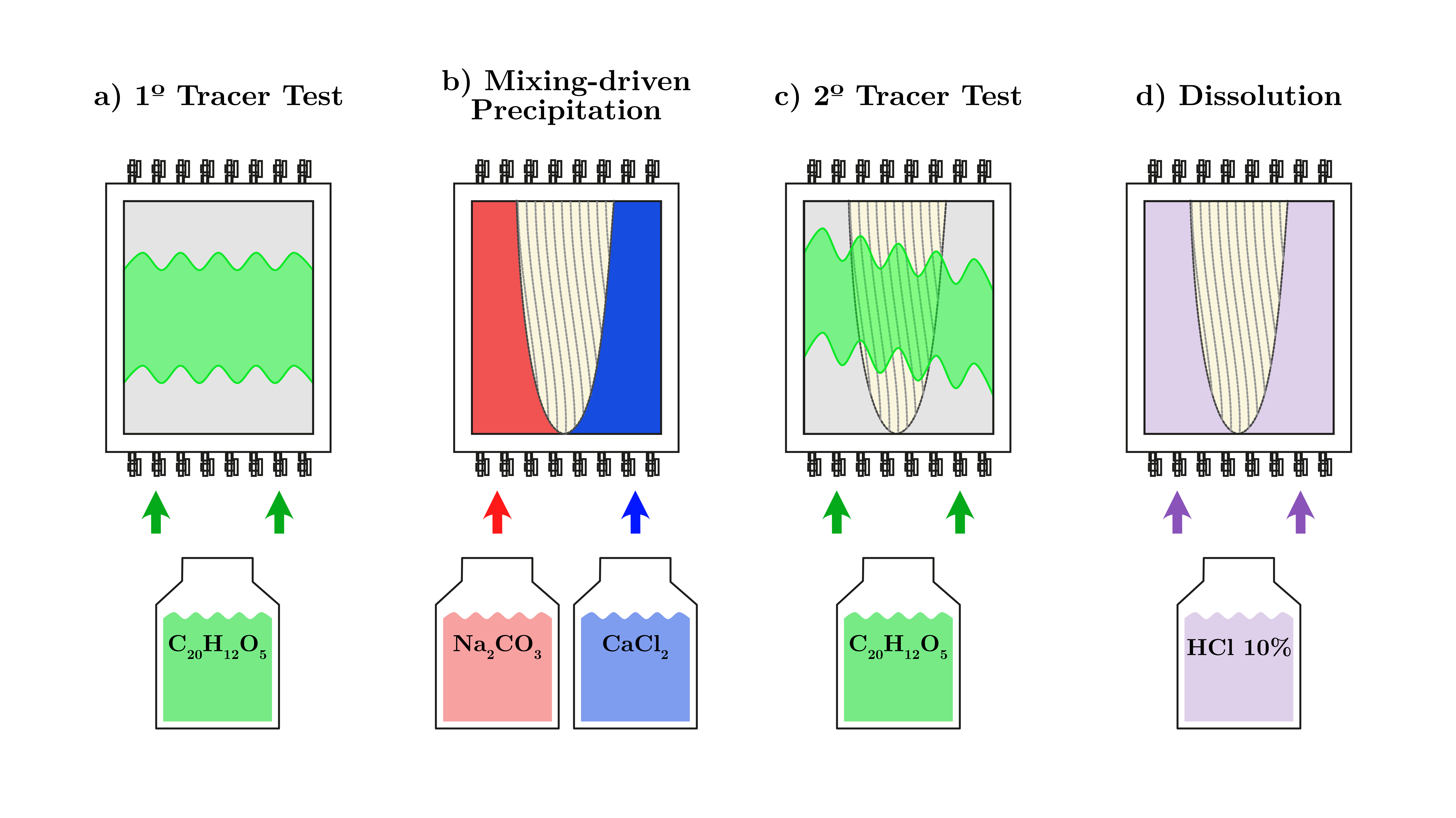 Mixing-Driven Precipitation and its Impact on Solute Transport.